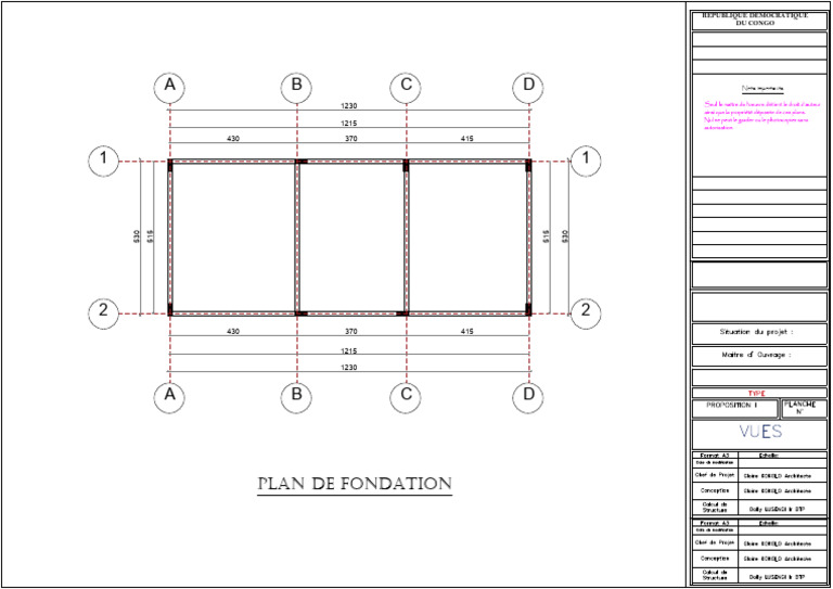 Plan de Fondation RDC - Propriété Intellectuelle | PDF