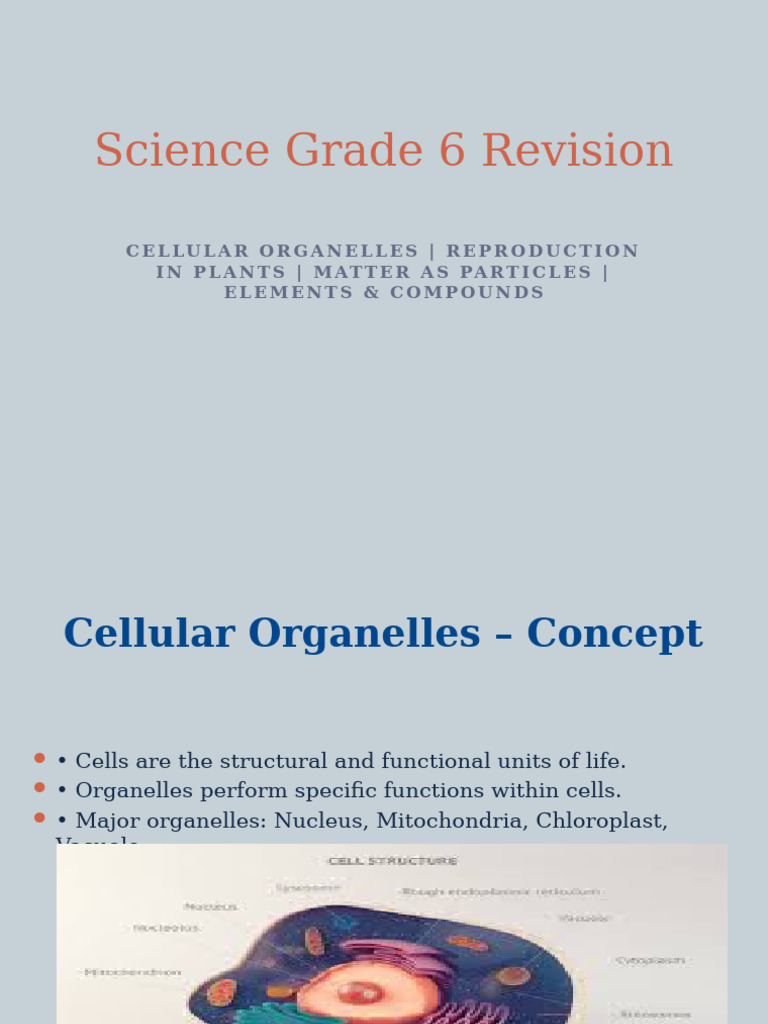 Grade 6 Science: Cells, Plants, Matter | PDF | Chemical Compounds ...