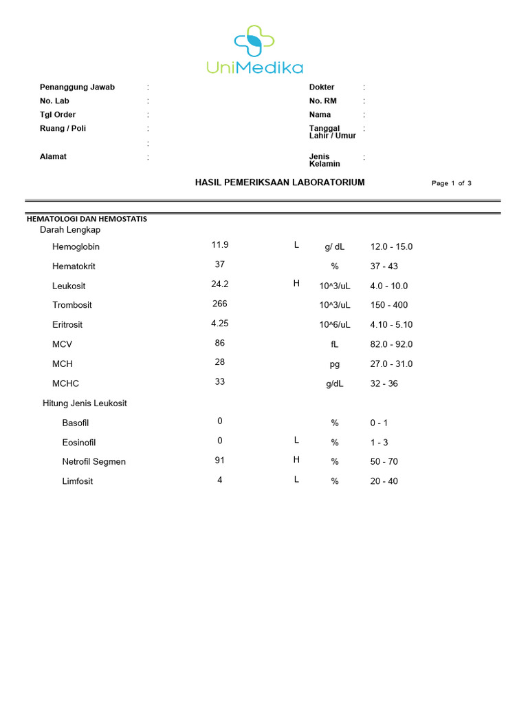 Hasil Laboratorium NY. AAN DARWATI | PDF