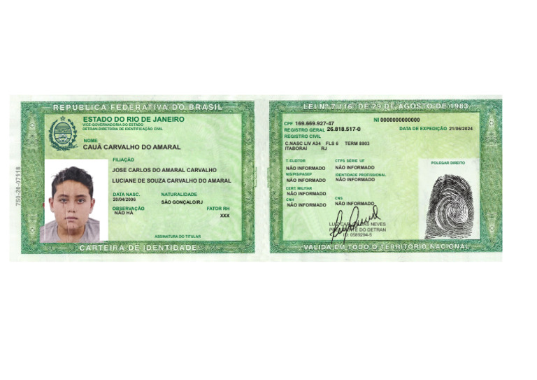Documentação Pessoal e Identificação RJ | PDF