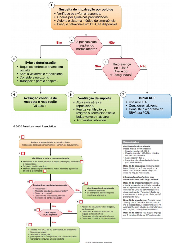Algoritmos AHA Compilados | PDF