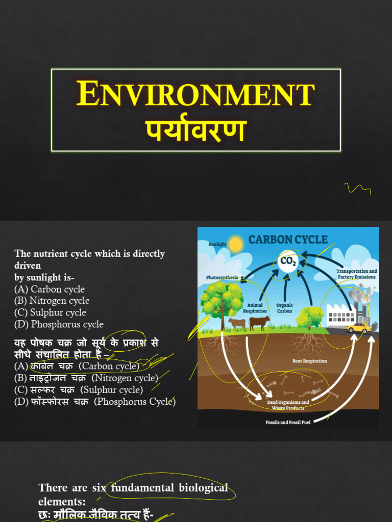 Nvironment | PDF