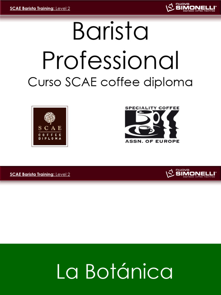 Barista Level Professional 1 Castellano | PDF | café | Chocolate