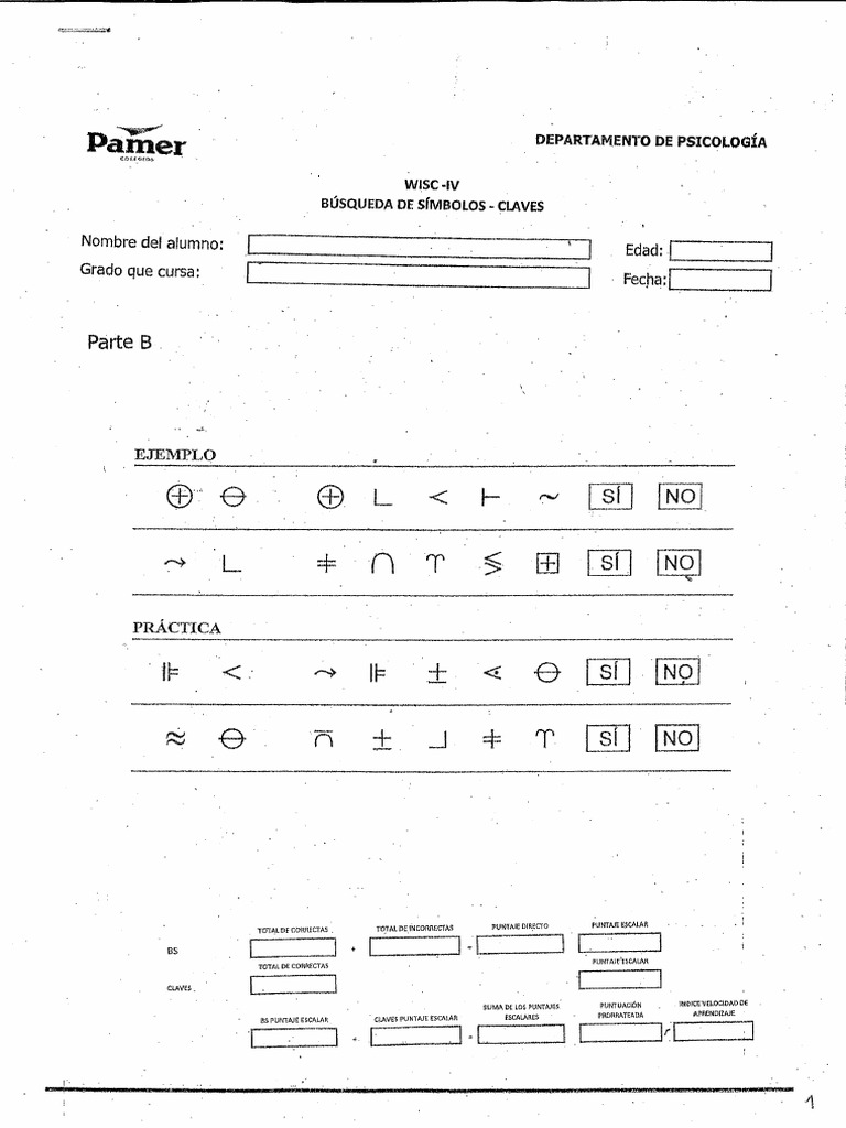 Protocolo Wisc | PDF