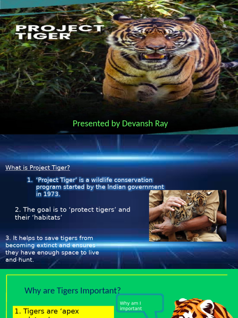 Devansh Presentation | PDF | Tiger | Poaching