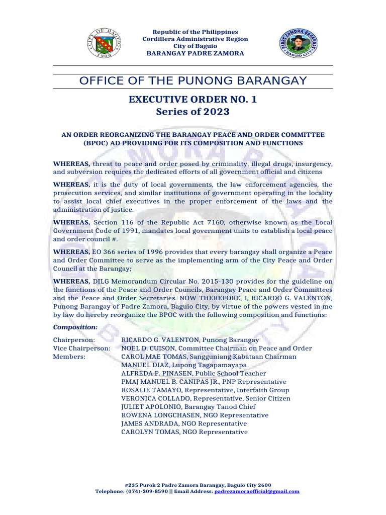 Reorganizing Barangay Peace Committee | PDF | Government | Justice