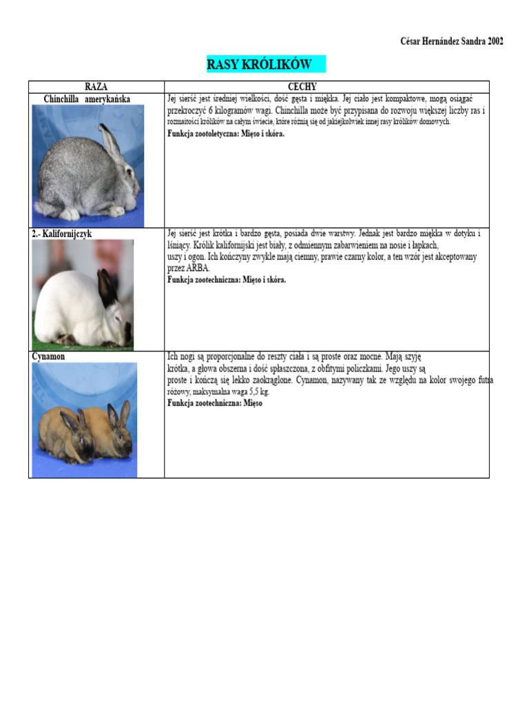 Rasy Królików | PDF