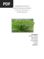 Download MALOJILLO by Sandy Antonieta Herrera SN95550466 doc pdf