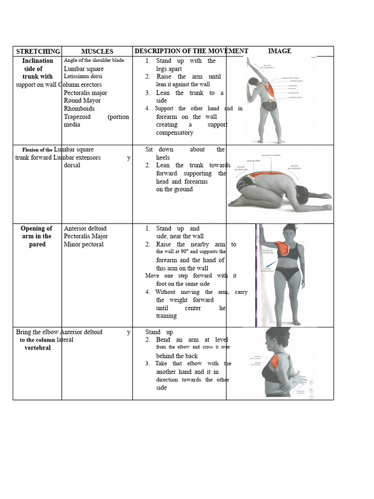 Muscle Stretching Techniques Guide | PDF | Human Leg | Anatomical Terms ...
