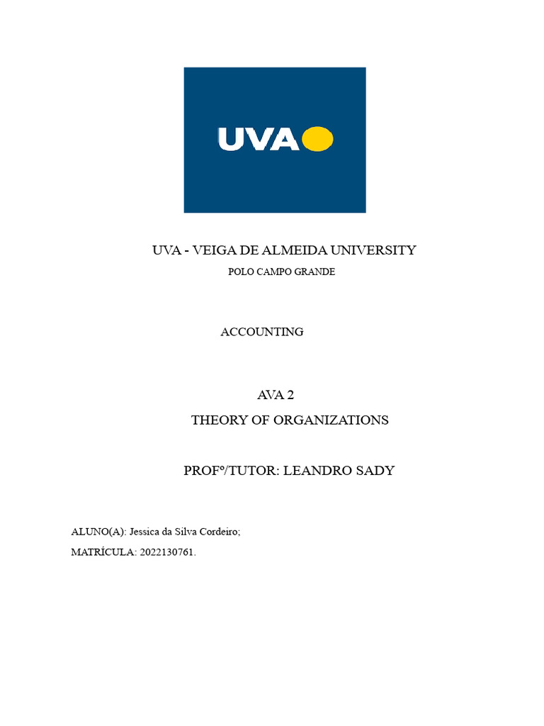 Ava 2 Theory of Organizations | PDF
