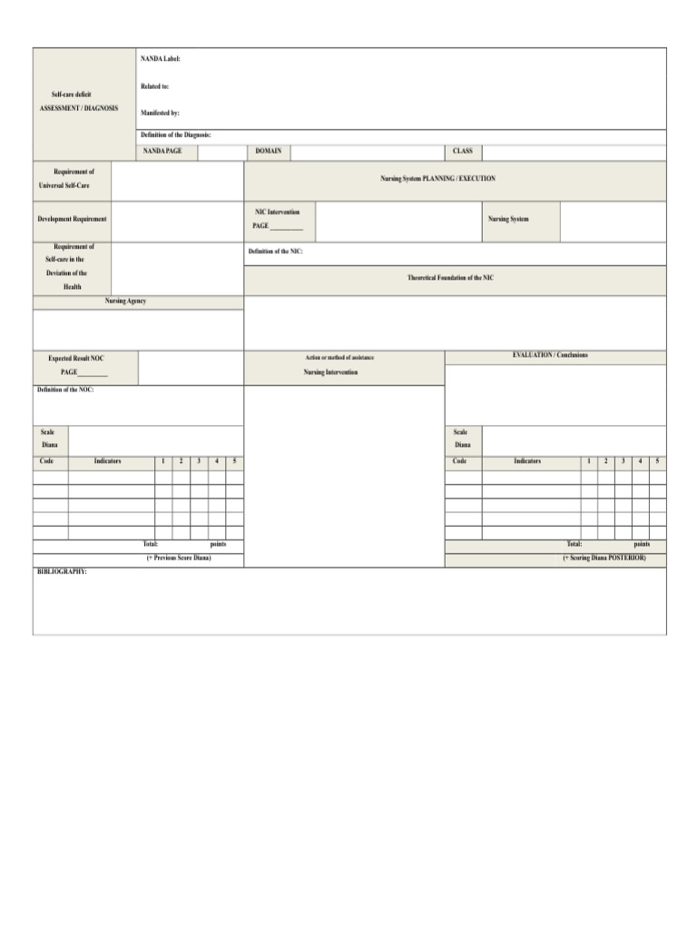 Nursing Process Format and Orem | PDF | Health Care | Nursing