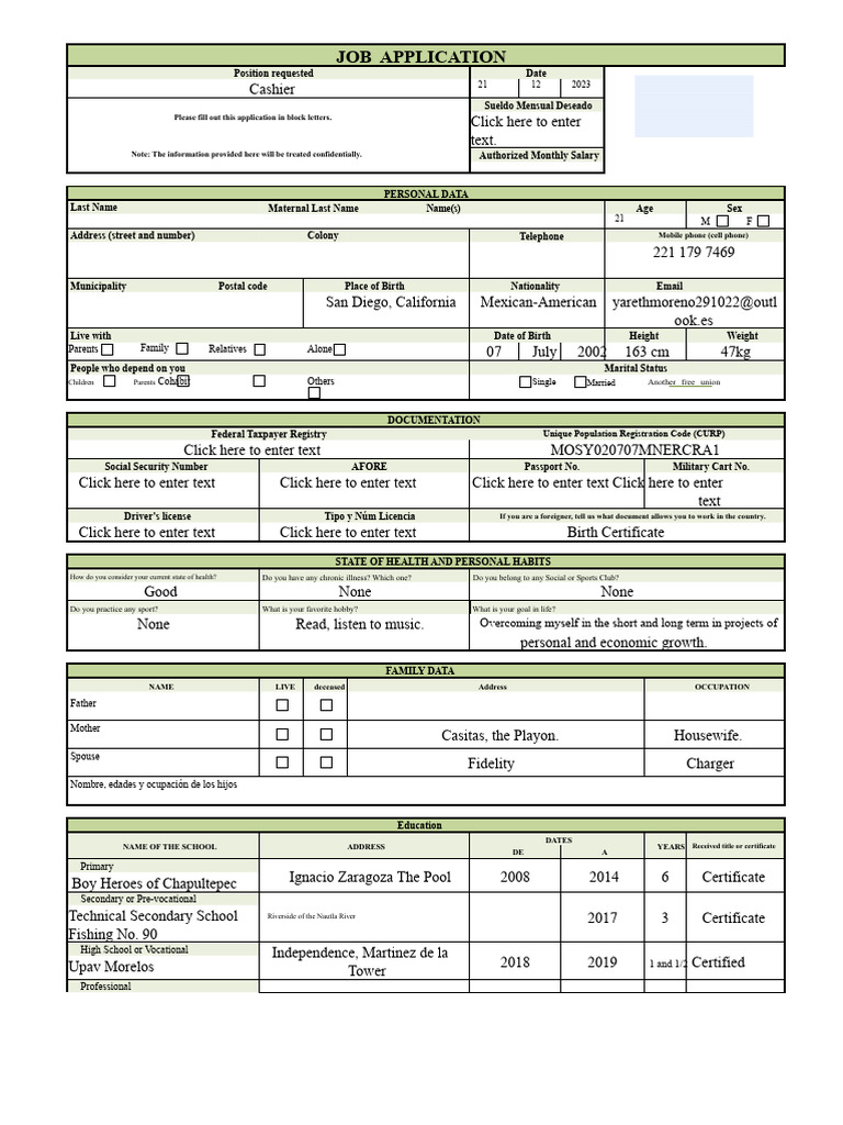Job Application Format - Word | PDF | Employment