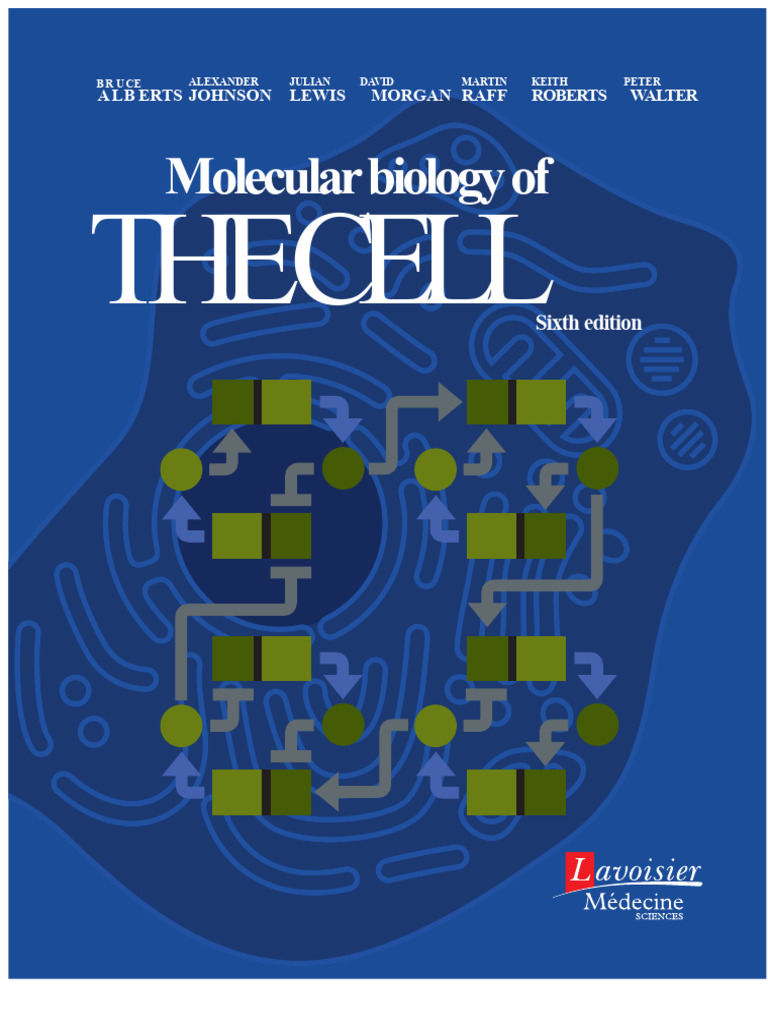 Molecular Biology of The Cell Course Book 6th Edition Summary | PDF ...