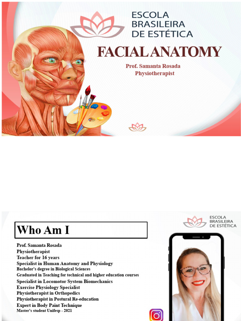 Facial Anatomy | PDF | Human Nose | Human Anatomy
