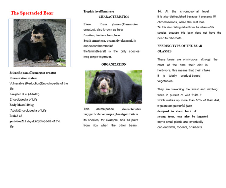 The Bear With Glasses | PDF | Bears | Zoology