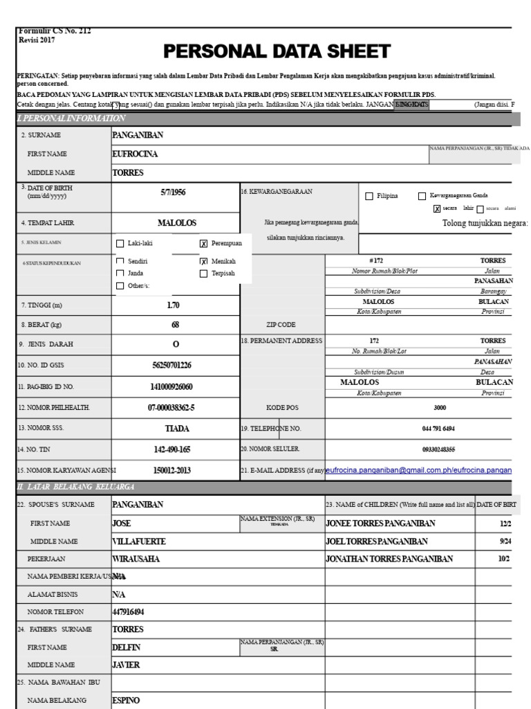 Formulir Data Pribadi CS 212 2017 | PDF