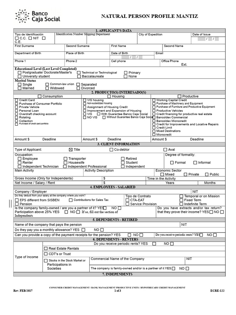 Natural Person Profile Form Template | PDF | Taxes | Pension