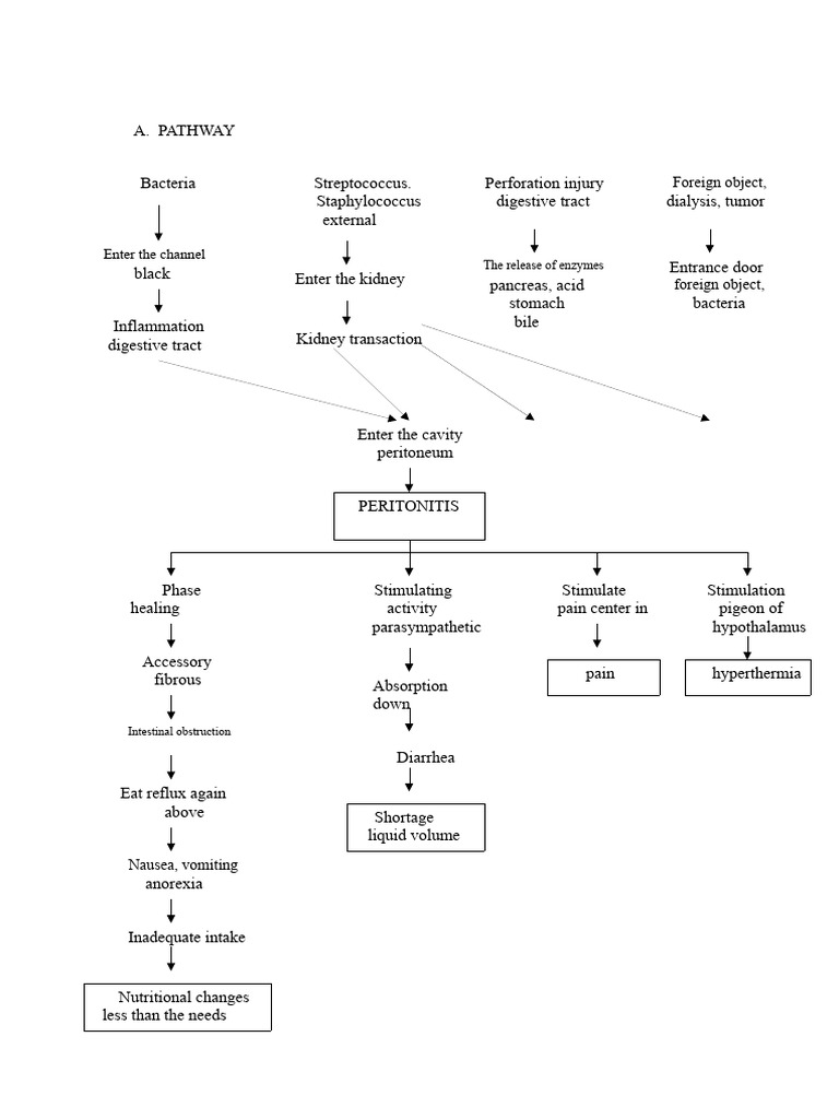Understanding Peritonitis and Its Causes | PDF