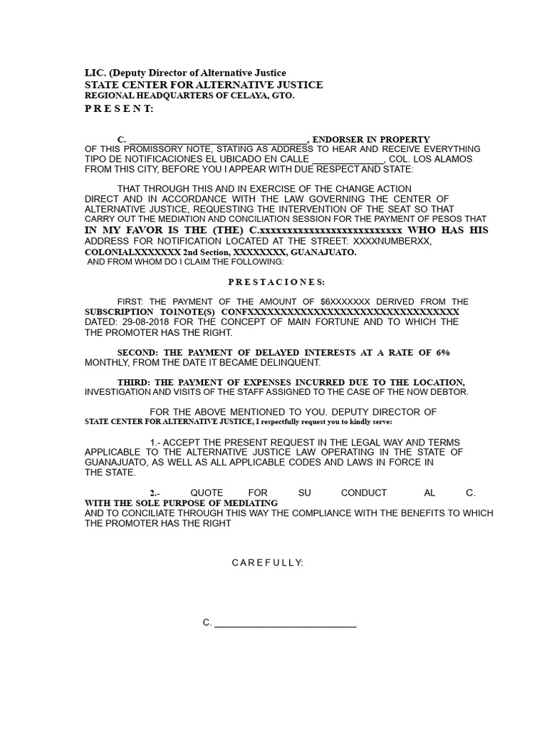 Application For Alternative Justice | PDF
