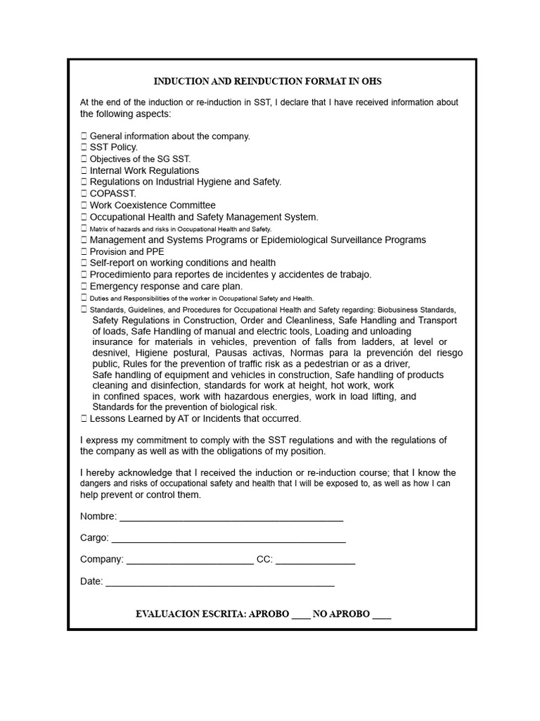 REAL EXAMPLE Induction or Re-Induction Format SST | PDF