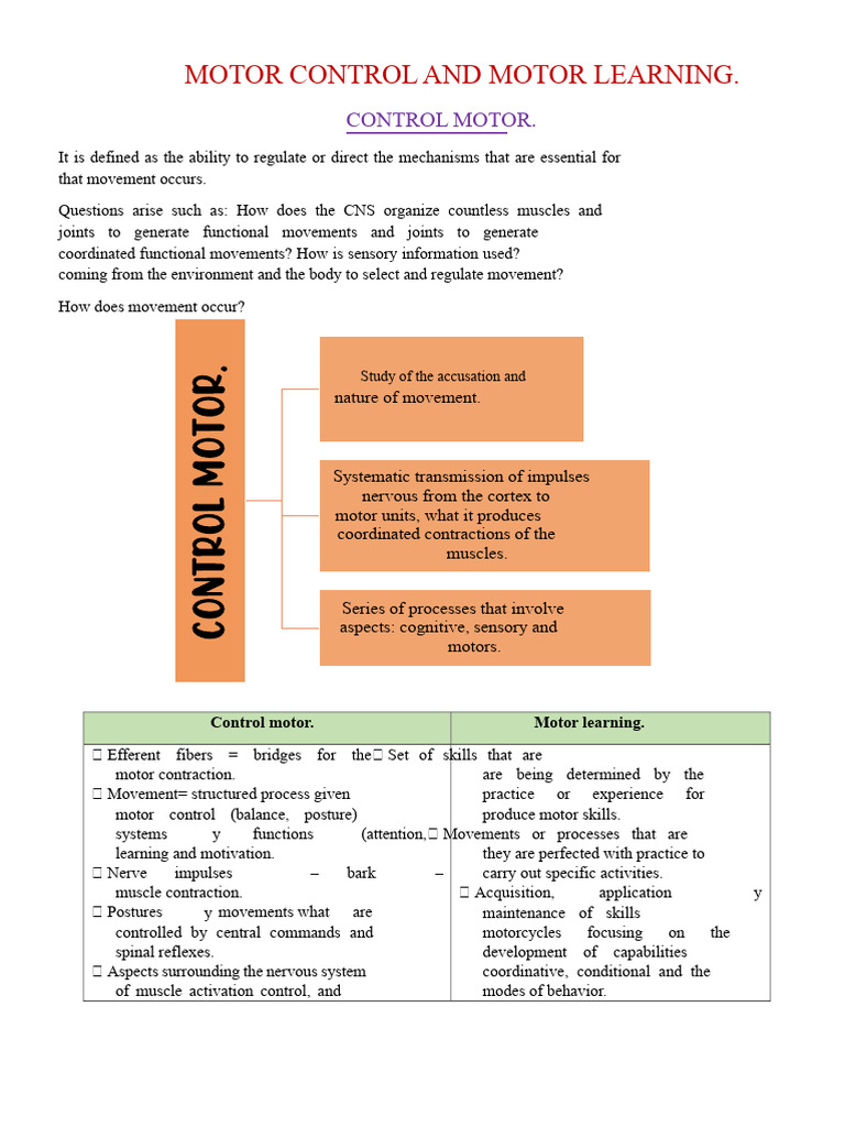 CONTROL AND MOTOR LEARNING. SUMMARY | PDF | Motor Control | Nervous System
