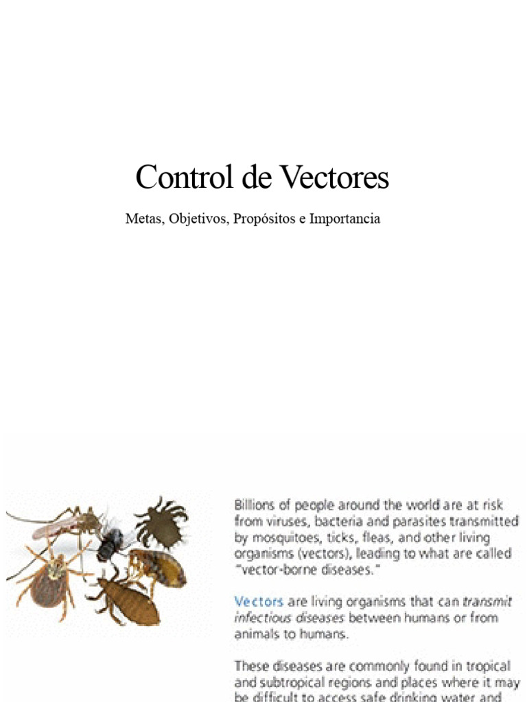 Control de Vectores | PDF | Malaria | Enfermedades y trastornos