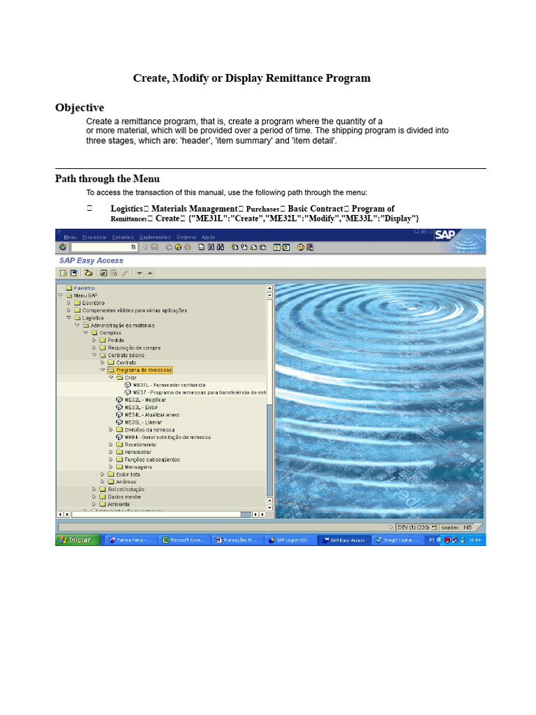 Remittance Program Creation Guide | PDF | Taxes | Prices