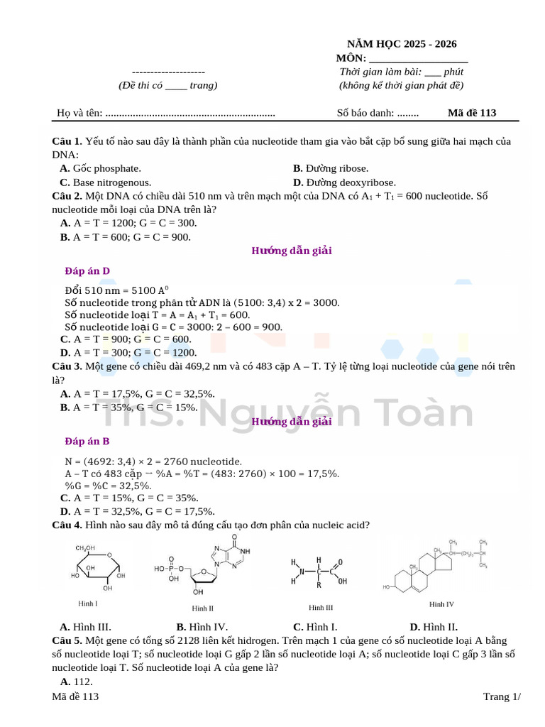 Ma de 113 | PDF