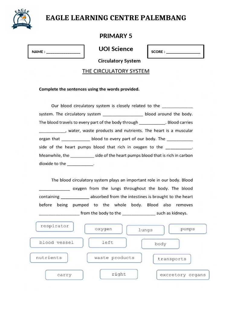 Science For P5 UOI 7 | PDF