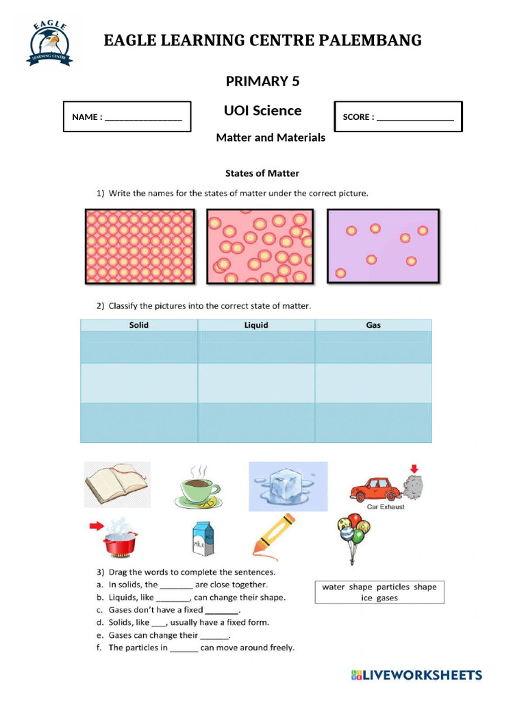 Science For P5 UOI 1 | PDF