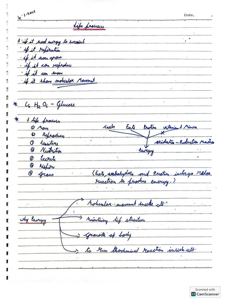 Bio Life Processes | PDF
