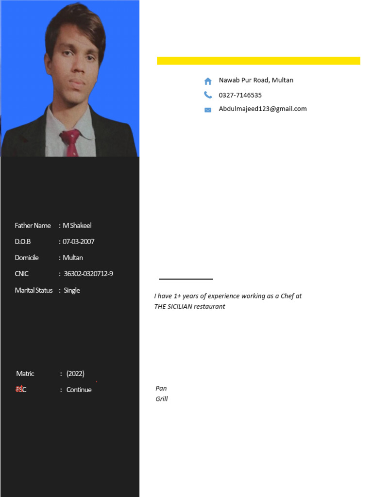 Majeed CV | PDF