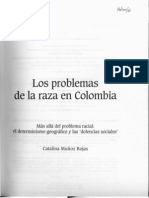 Los Problema de La Raza en Colombia - Estudio Intro Duc To Rio