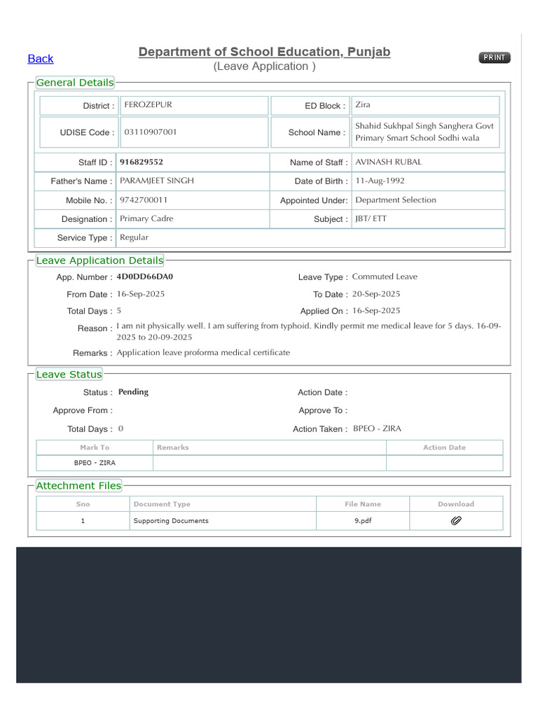 Leave Application | PDF