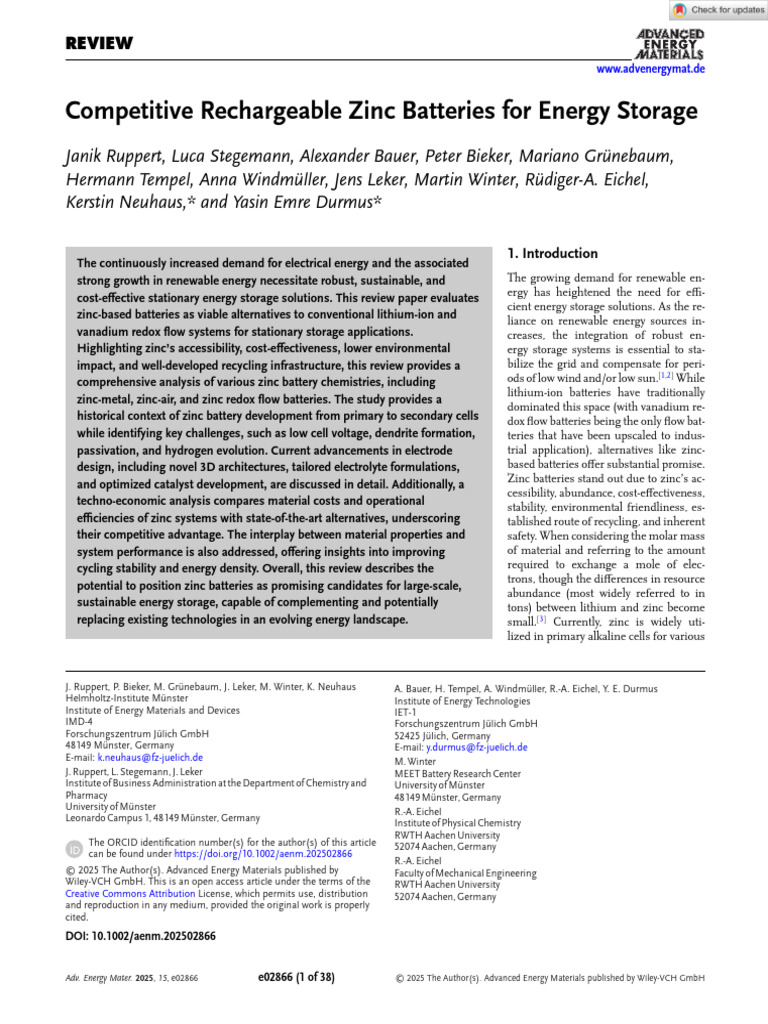 Zinc Batteries: Sustainable Energy Storage | PDF | Anode | Electrode