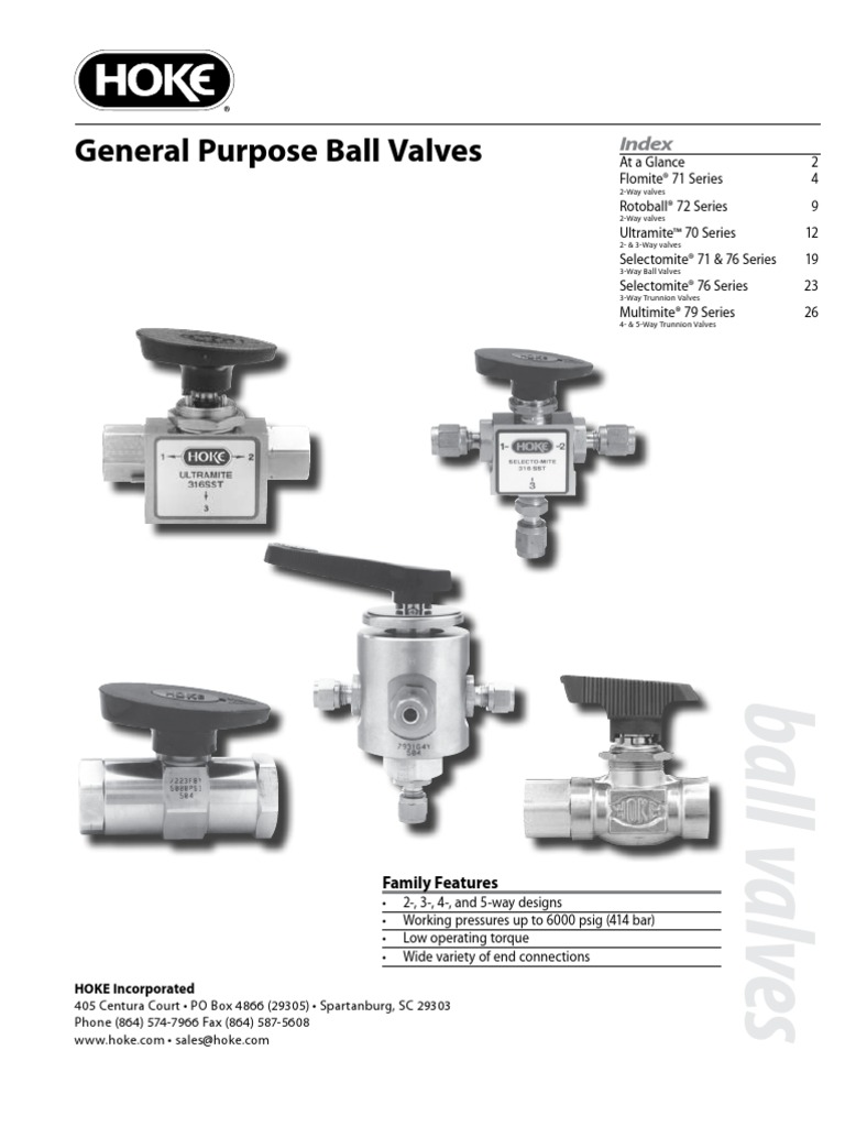 79066 Ball Valves Valve Leak