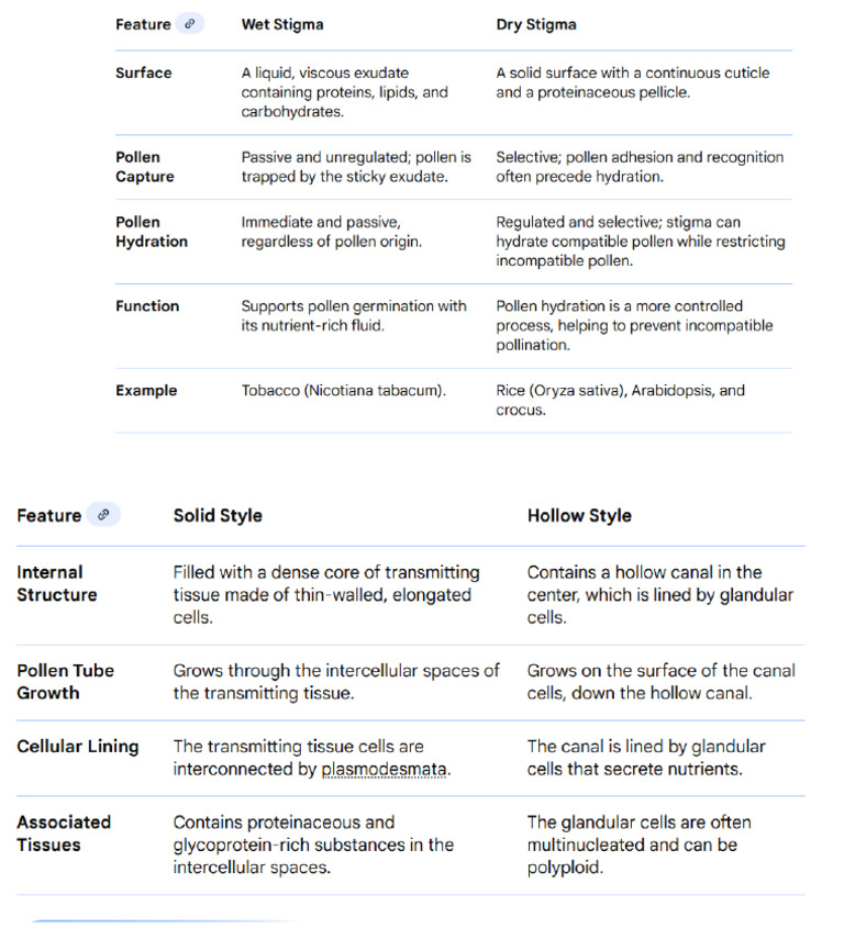Style and Stigma | PDF