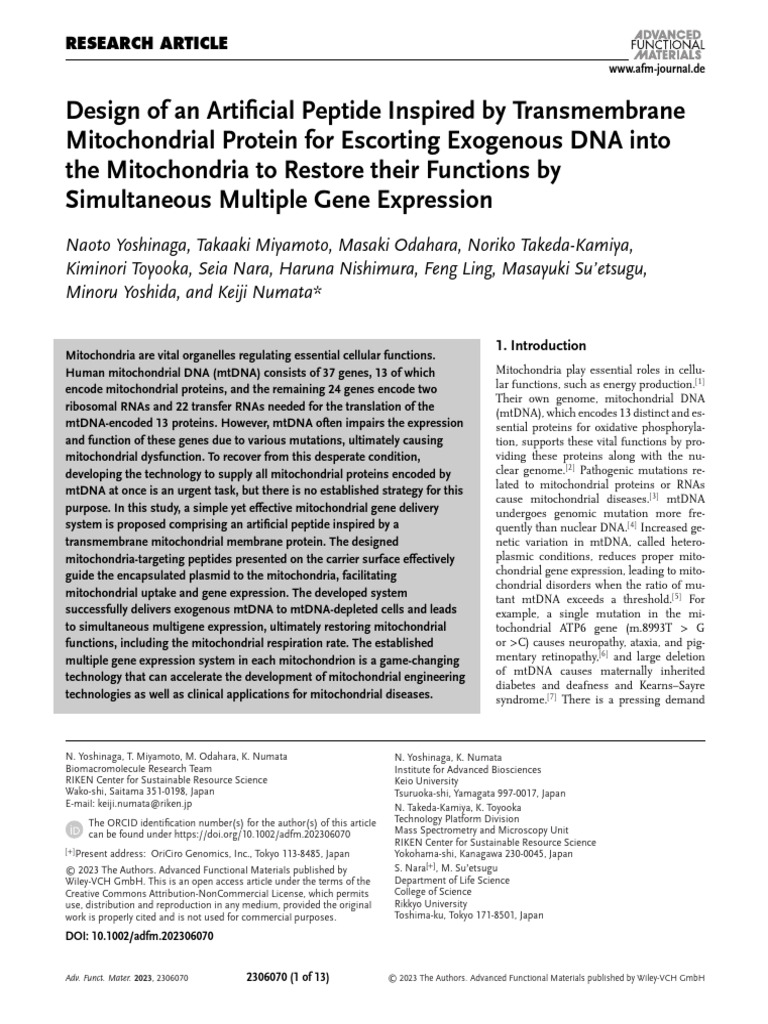 Mitochondrial Gene Delivery System Design | PDF | Mitochondrion ...