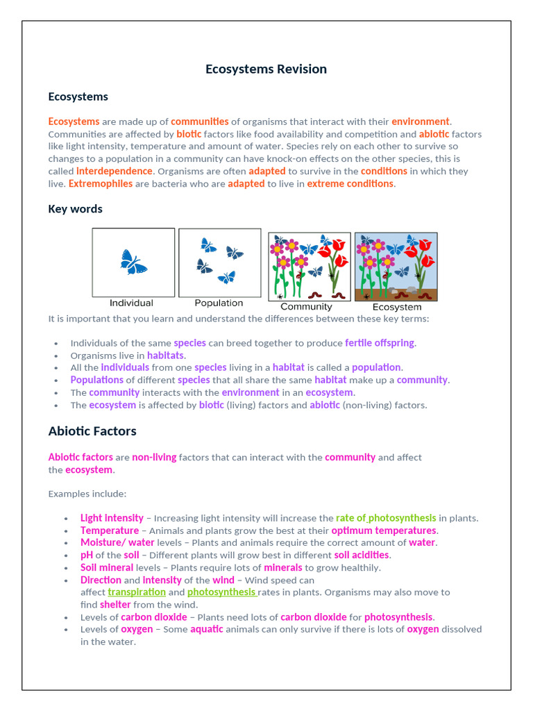 Understanding Ecosystems and Their Factors | PDF | Ecosystem | Plants