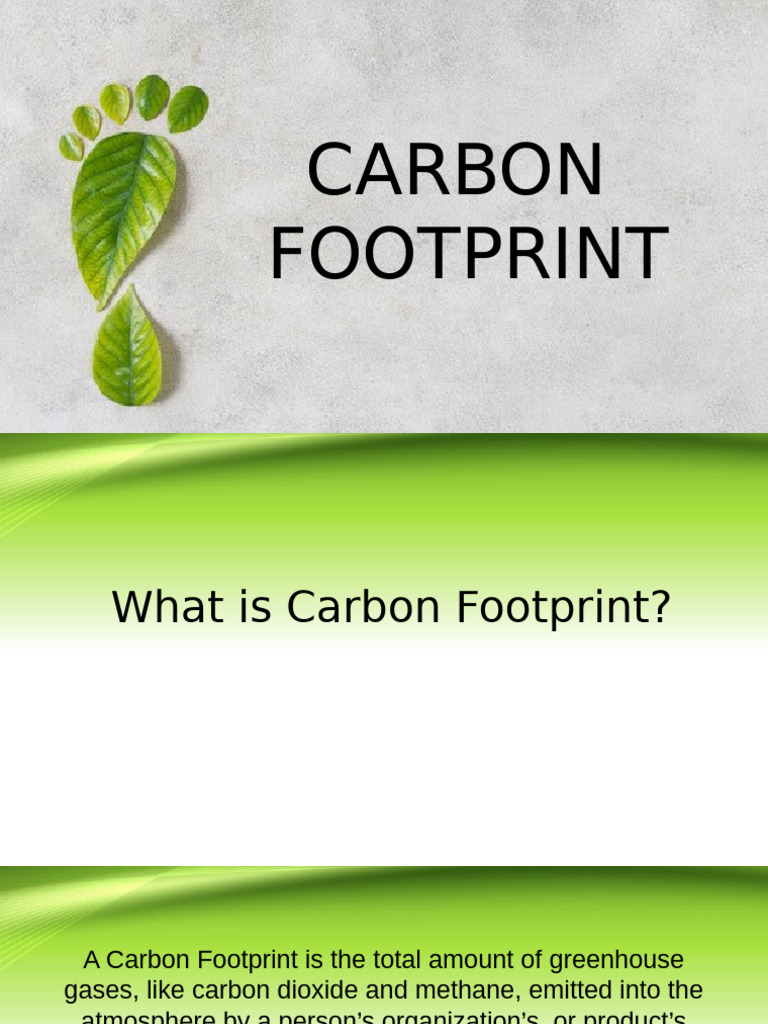 Understanding Carbon Footprint Basics | PDF | Carbon Footprint ...