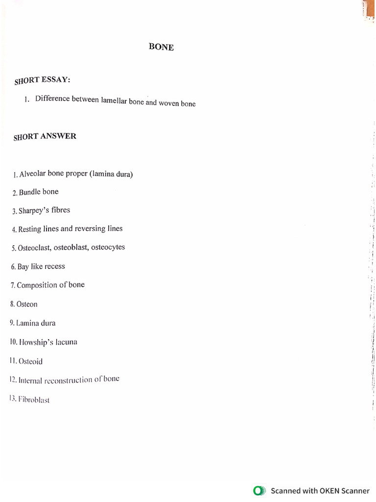 Bone Assignment Questions | PDF