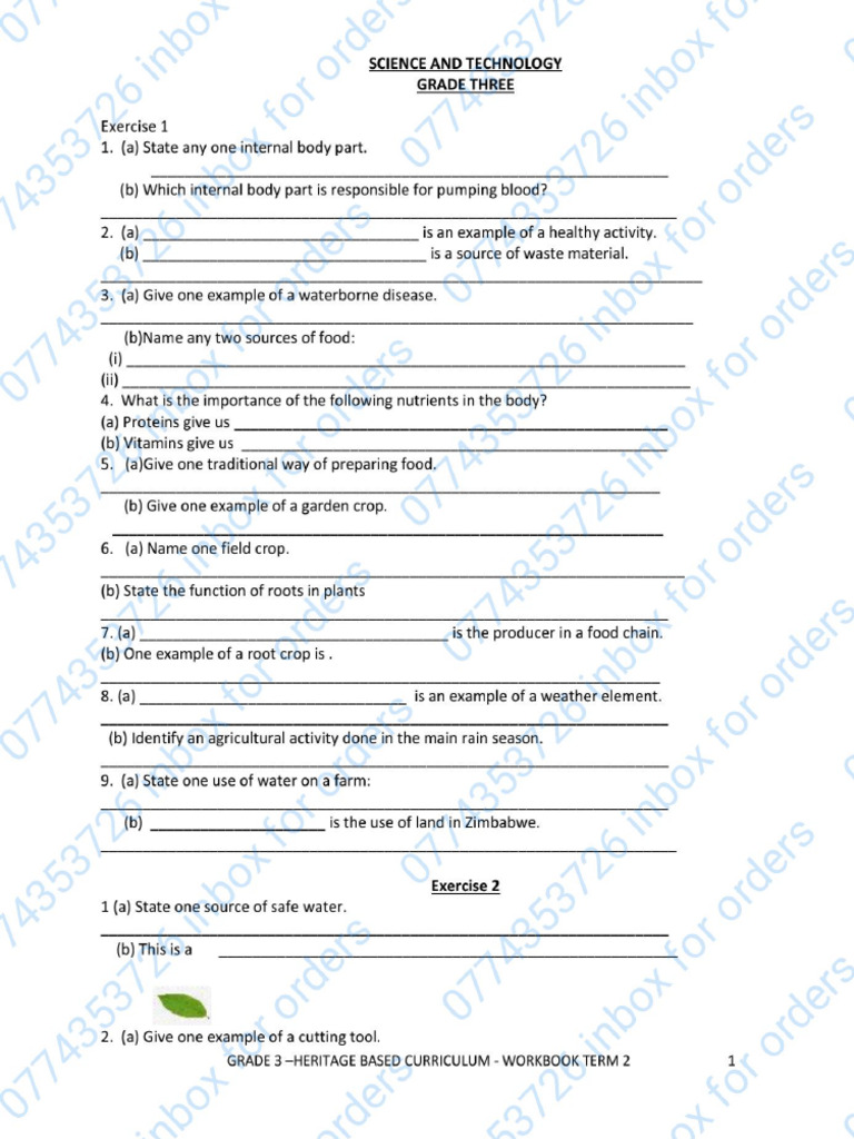 Grade 3 Holiday Work TERM 2 | PDF