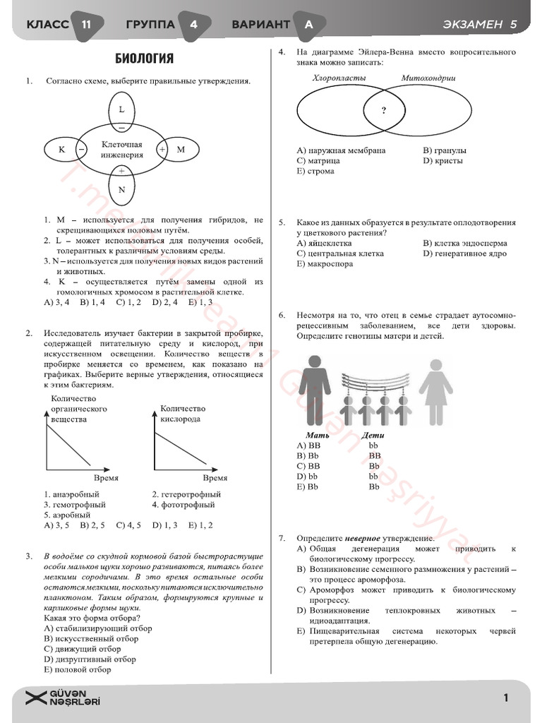 11 - 4 Rus | PDF