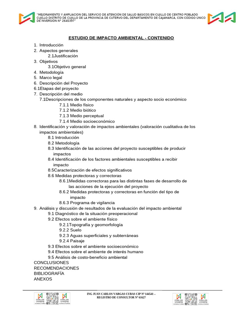Informe Estudio Eia | PDF | Evaluación de impacto ambiental | Entorno ...