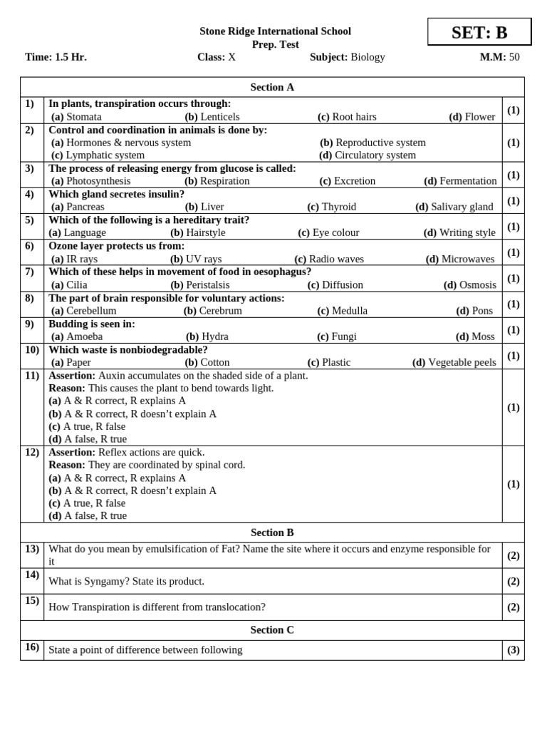 Class X Prep Test Set B | PDF | Genotype | Dominance (Genetics)
