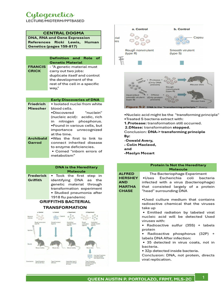 Cytogen Midterm Central20dogma Portolazo | PDF | Dna | Dna Replication
