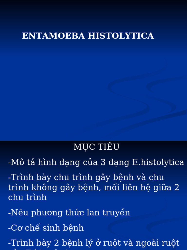 Amip | PDF