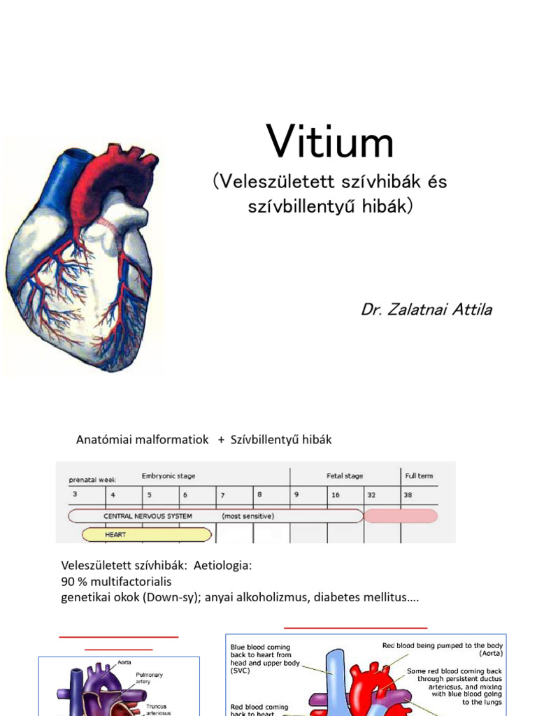 FOK VitiumCorPulmEndocard ZA | PDF
