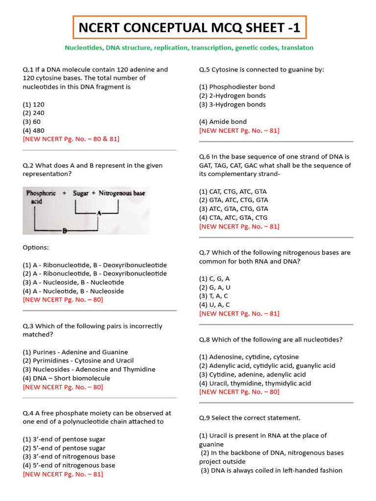 Mbi Conceptual Sheet 01 Revised | PDF | Genetic Code | Dna