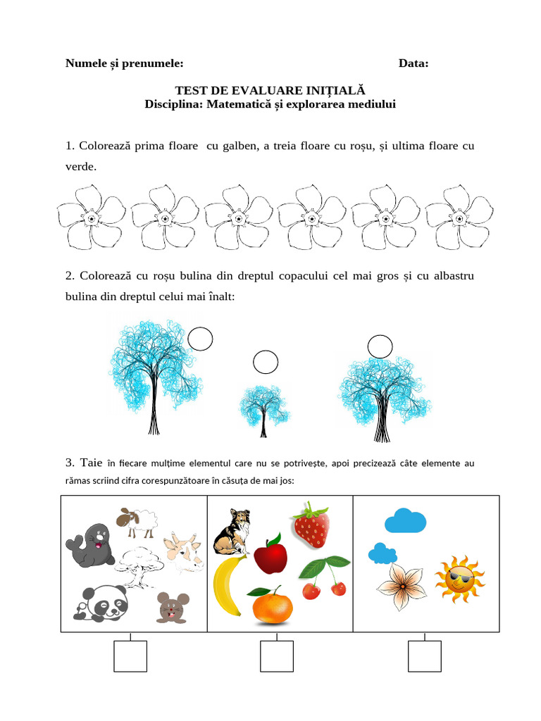 Test de Evaluare Initiala La Mem Bun | PDF